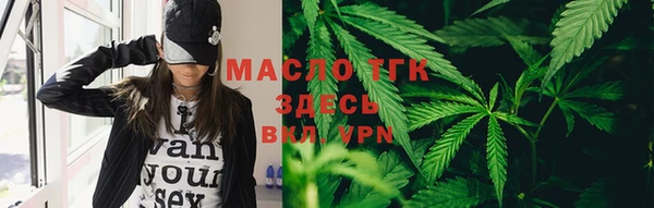 индика Абаза