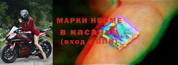 индика Абаза