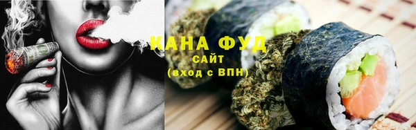 индика Абаза