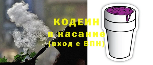 индика Абаза