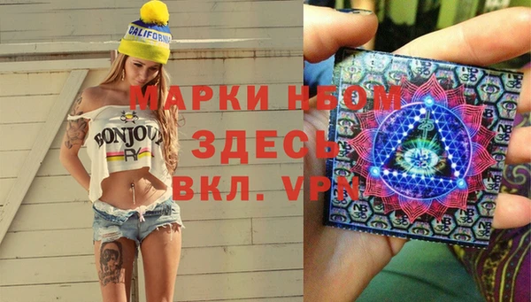 индика Абаза