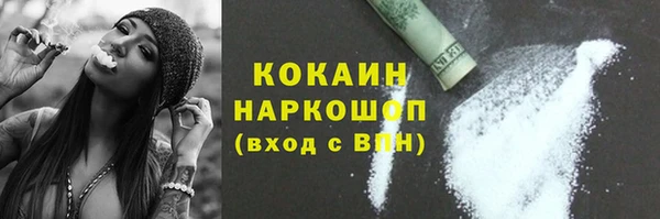 индика Абаза