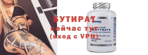 индика Абаза