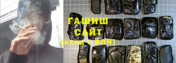 индика Абаза