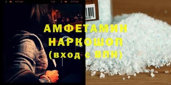 индика Абаза