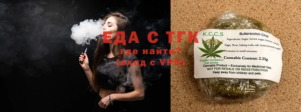индика Абаза