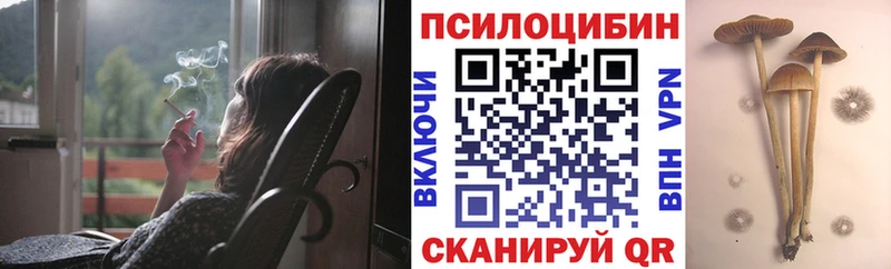 Псилоцибиновые грибы GOLDEN TEACHER  где найти наркотики  Кимовск 